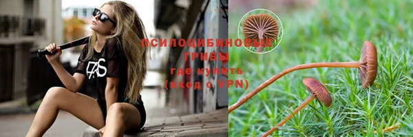 эйфоретик Пестово
